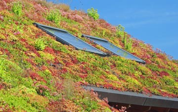 Shirburn living roof systems