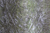 Shirburn fibreglass roof work